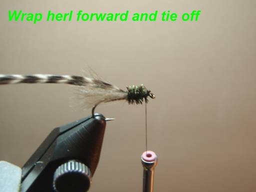 Harrops Henrys fork caddis - Fly of the week - July 5, 2010