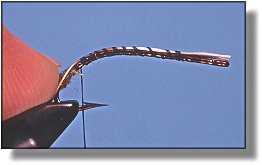 https://www.flyanglersonline.com/flytying/fotw/asn2.jpg