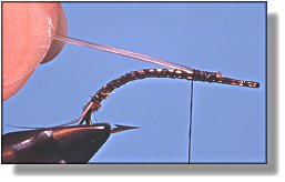 https://www.flyanglersonline.com/flytying/fotw/asn3.jpg