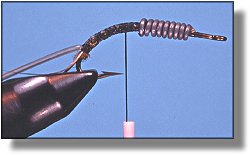 https://www.flyanglersonline.com/flytying/fotw/asn5.jpg