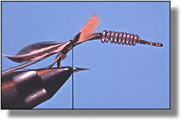 https://www.flyanglersonline.com/flytying/fotw/asn7.jpg