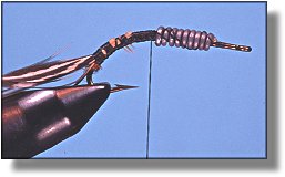 https://www.flyanglersonline.com/flytying/fotw/asn8.jpg