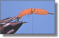 https://www.flyanglersonline.com/flytying/fotw/asn9.jpg