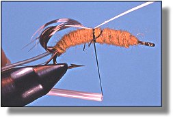 https://www.flyanglersonline.com/flytying/fotw/asn10.jpg