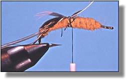 https://www.flyanglersonline.com/flytying/fotw/asn11.jpg