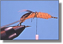 https://www.flyanglersonline.com/flytying/fotw/asn12.jpg
