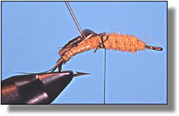 https://www.flyanglersonline.com/flytying/fotw/asn13.jpg