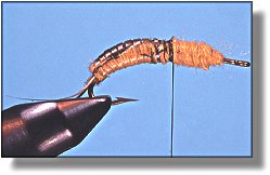 https://www.flyanglersonline.com/flytying/fotw/asn14.jpg