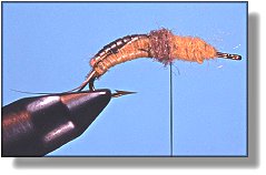 https://www.flyanglersonline.com/flytying/fotw/asn15.jpg