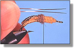 https://www.flyanglersonline.com/flytying/fotw/asn16.jpg