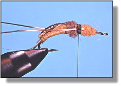 https://www.flyanglersonline.com/flytying/fotw/asn17.jpg