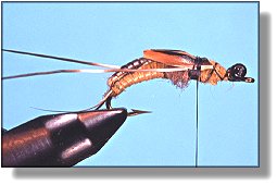 https://www.flyanglersonline.com/flytying/fotw/asn23.jpg