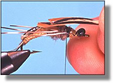 https://www.flyanglersonline.com/flytying/fotw/asn25.jpg