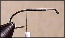 https://www.flyanglersonline.com/flytying/fotw/ca1.jpg