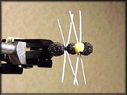 https://www.flyanglersonline.com/flytying/fotw/ca7.jpg