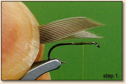 https://www.flyanglersonline.com/flytying/fotw2/dhbwo1.jpg