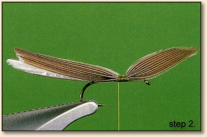 https://www.flyanglersonline.com/flytying/fotw2/dhbwo2.jpg