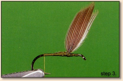https://www.flyanglersonline.com/flytying/fotw2/dhbwo3.jpg