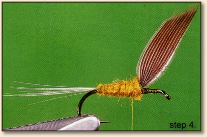 https://www.flyanglersonline.com/flytying/fotw2/dhbwo4.jpg