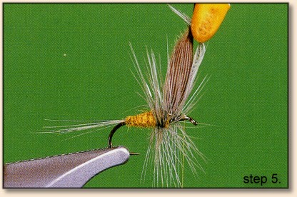 https://www.flyanglersonline.com/flytying/fotw2/dhbwo5.jpg