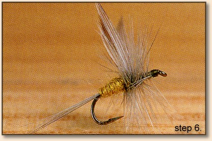 https://www.flyanglersonline.com/flytying/fotw2/dhbwo6.jpg