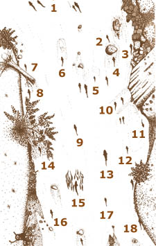 Favored Holding Spots
