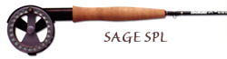 Sage SPL