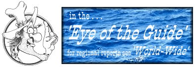 Eye of the Guide