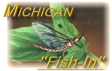 Michigan Fish In