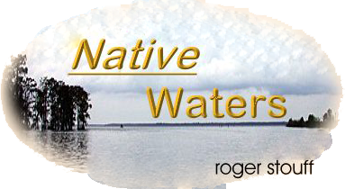 Warmwater