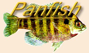 Panfish