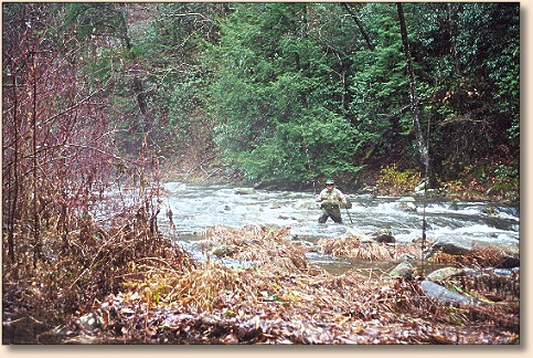 The Grizz and his idea of 'fun' - Class II Rapids Hiking