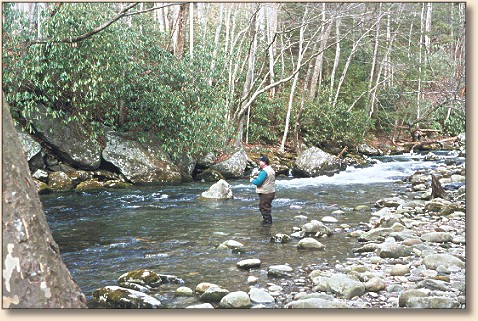 Good friend Bob learns how to  have 'fun' on his first mountain trip