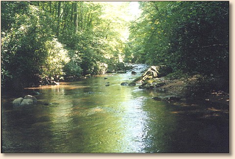 Boxcar's Secret Trout Stream, Hospital and Church all in one