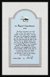 Royal
Coachman