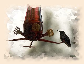 One of Castwell's hummers