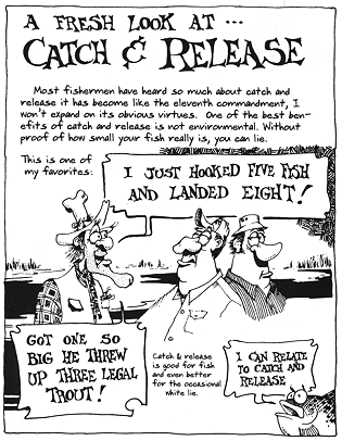 Link to Book Review!