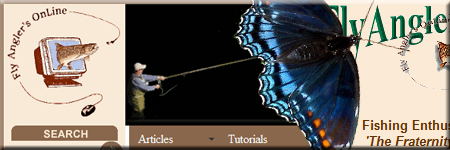 FAOL metamorphosis image
