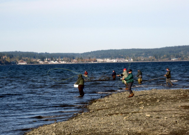 Fishing for chum salmon