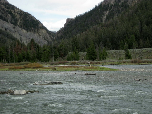 FAOL homepage image