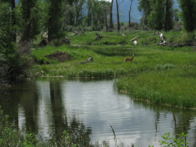 FAOL homepage image