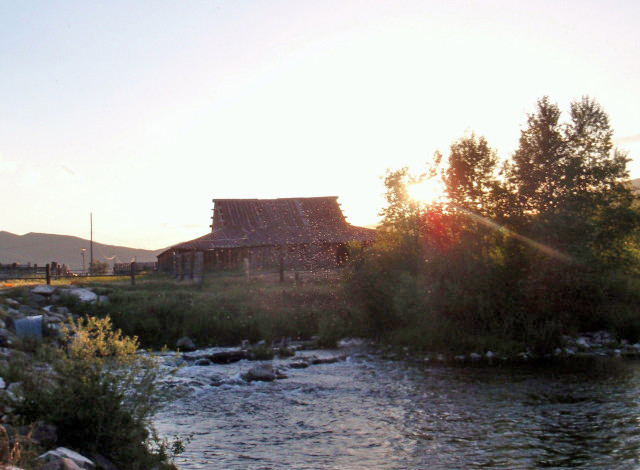 FAOL homepage image