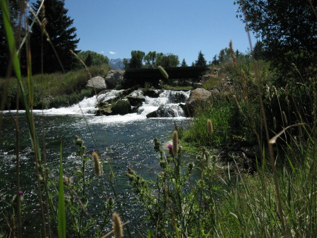 FAOL homepage image