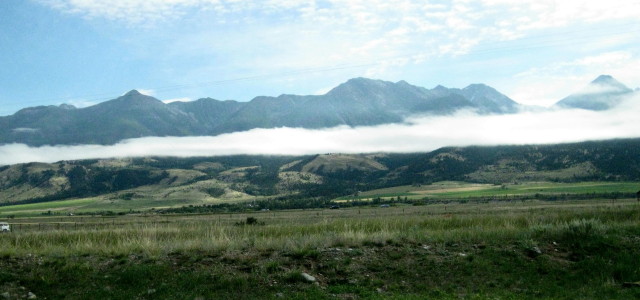 FAOL homepage image