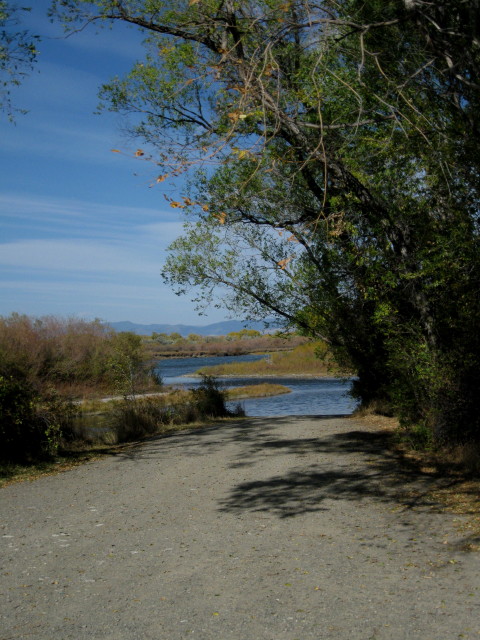 FAOL homepage image