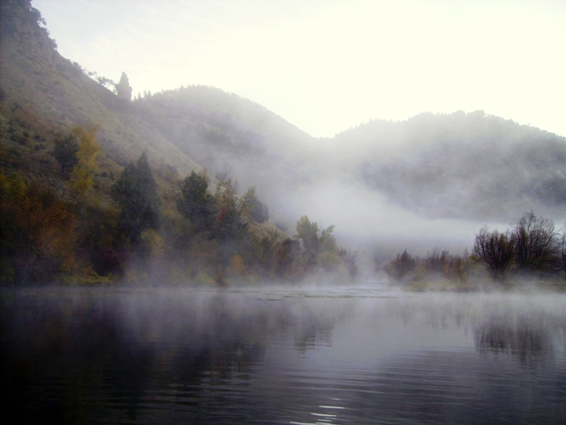 FAOL homepage image