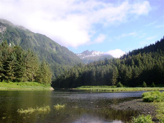 FAOL homepage image