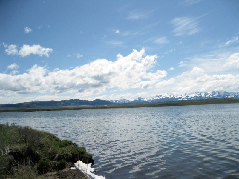 FAOL homepage image