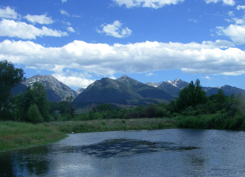 FAOL homepage image