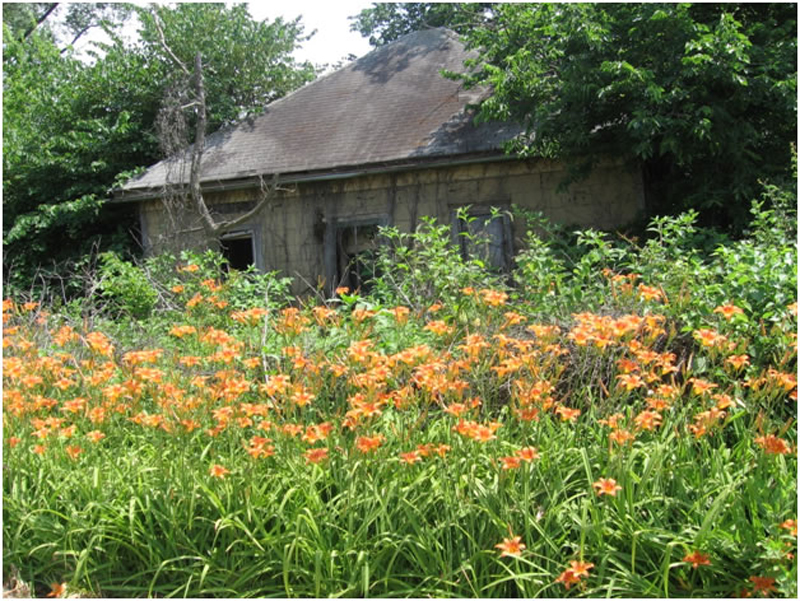 FAOL homepage image